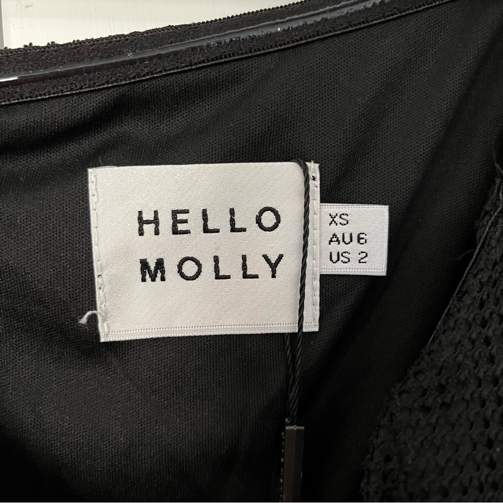 NWT Hello Molly In Other News Dress Black Mesh - Picture 8 of 10